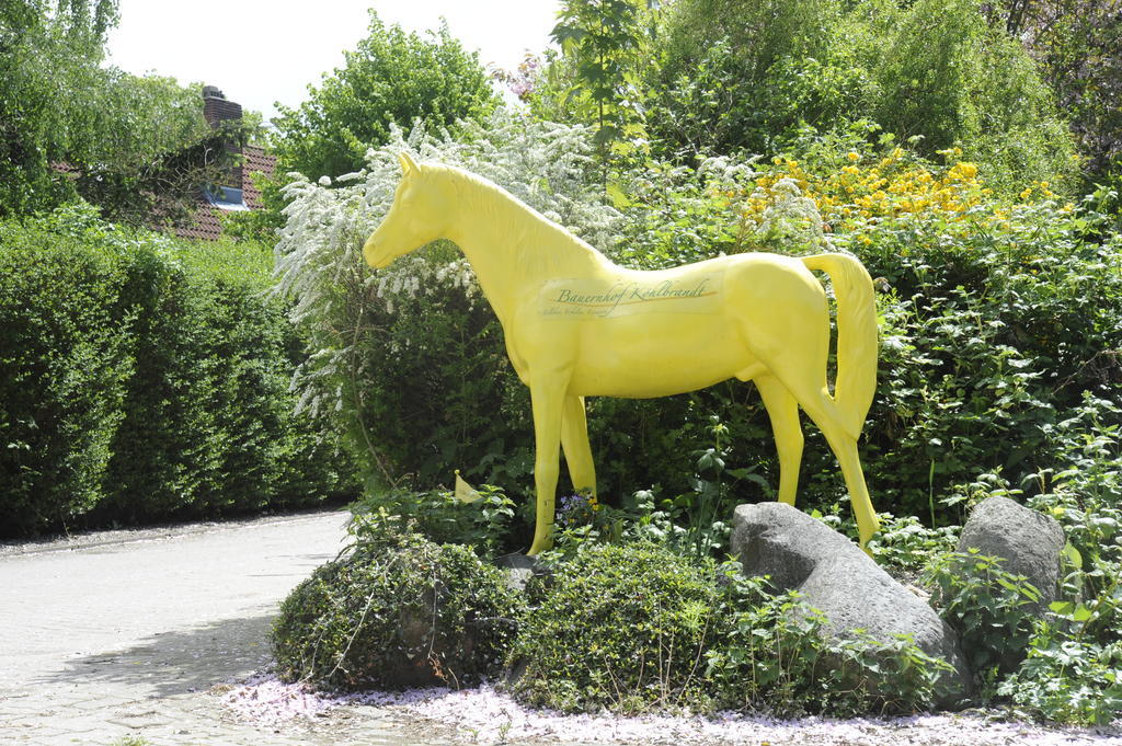 Todendorf auf Fehmarn Bauernhof Koehlbrandt 빌라 외부 사진